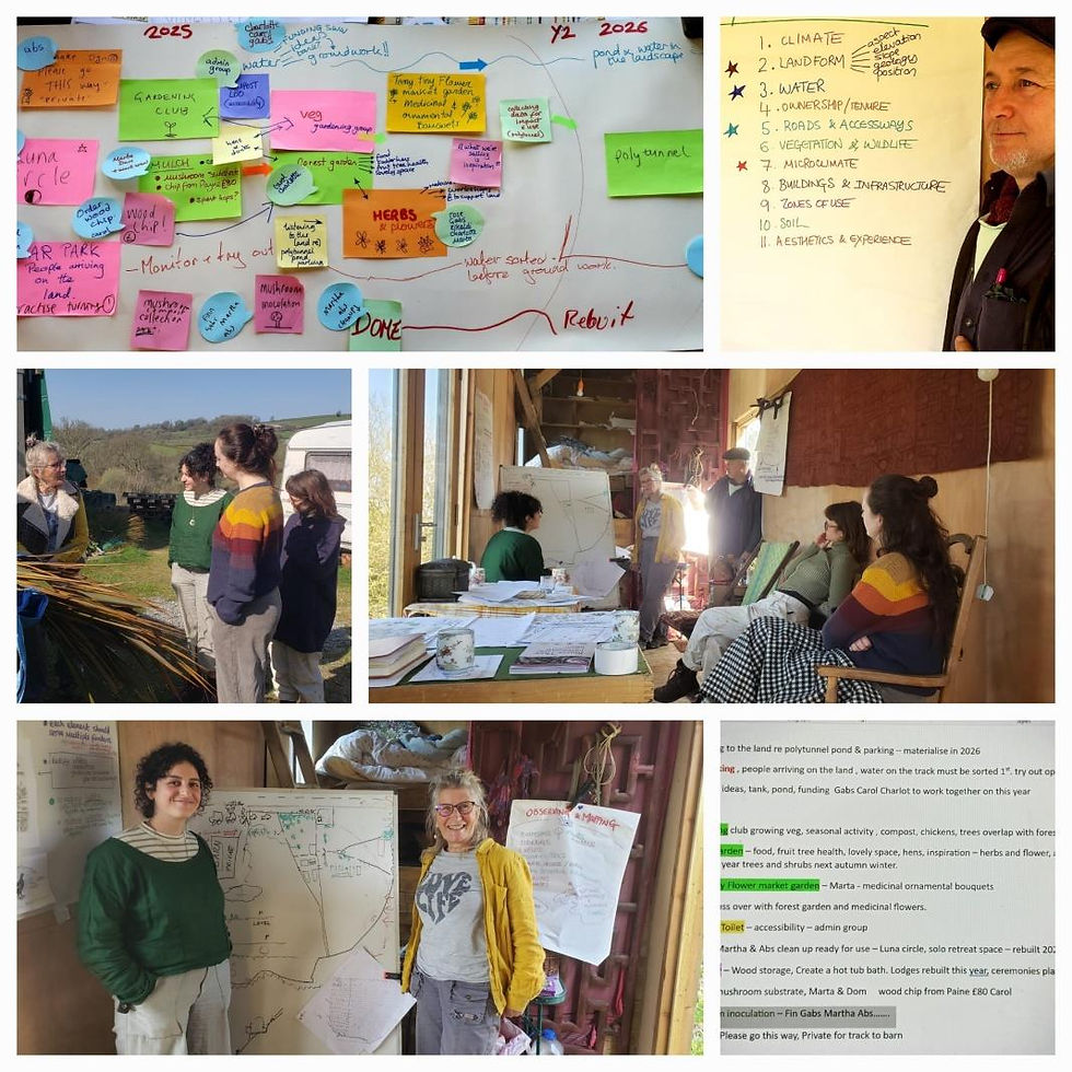 Collage of a meeting with people discussing plans. Whiteboards with colorful sticky notes and lists. Rural setting, relaxed atmosphere.