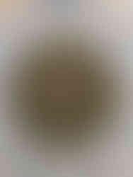 Dandelions in readiness for biodynamic preparation fill a large pot on a wooden surface. The vibrant mix of yellow and green creates a rustic, natural atmosphere.