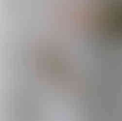 Arm outstretched with hand with a green sleeve holds a wire mesh containing two cow's intestines filled with biodynamic preparations against a grey fabric background.