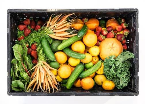 A crate filled with various fresh biodynamically or organically grown fruits and vegetables, including carrots, cucumbers, oranges, strawberries, kale, and tomatoes.