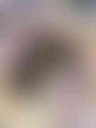 Hands of several people sift through dark soil on a light wooden table, suggesting collaboration and connection with nature.