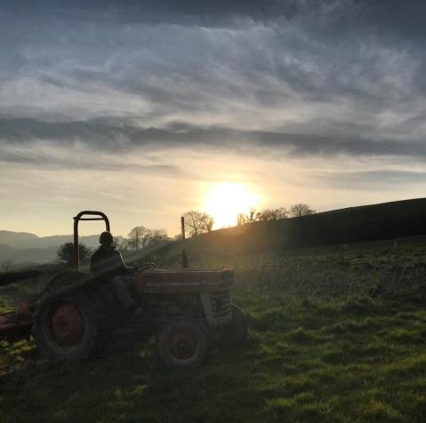 A farmer on their tractor in the evening as the sun sets in the background.