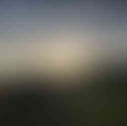 A farmer on their tractor in the evening as the sun sets in the background.