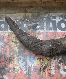 Dirt-covered cow's horn on a poster, 'Education' visible