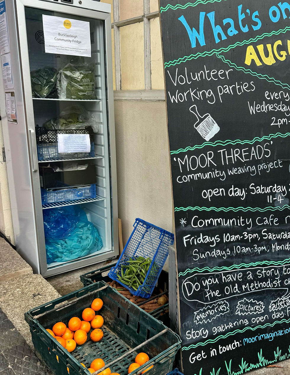 large tall refrigerator with large plastic bags and trays filled with vegetables donated by local growers