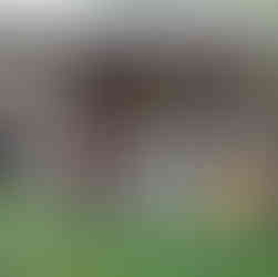 A group of ten people sit on chairs on a wooden outdoor porch chatting in front of a wooden table. The atmosphere is relaxed with greenery in the background.