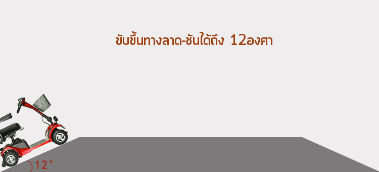 รถไฟฟ้าคนชรา