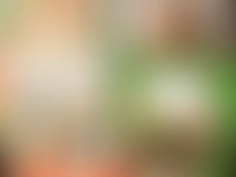 2022年2月19日 入荷本