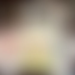 2022年4月3日 入荷本