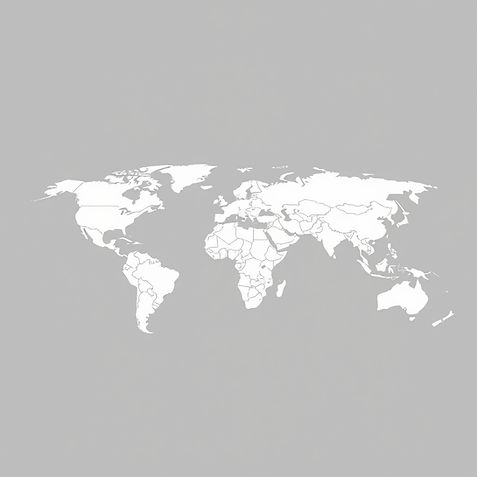 World map simple white and grey.jpg