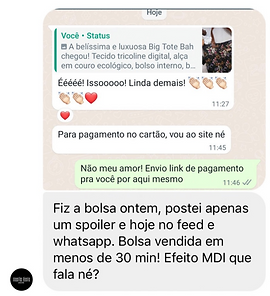 Captura de Tela 2023-12-05 às 17.43.48.png