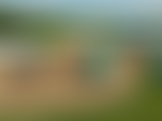 If Ohio Cares So Much About Horses, Why Are So Many Still Being Abused?