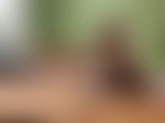 How Does a Bill Become Law in Ohio — and Why Do Animal Cruelty Laws Keep Falling Through the Cracks?