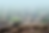 BMCAI-WEB-MOCKUP.png