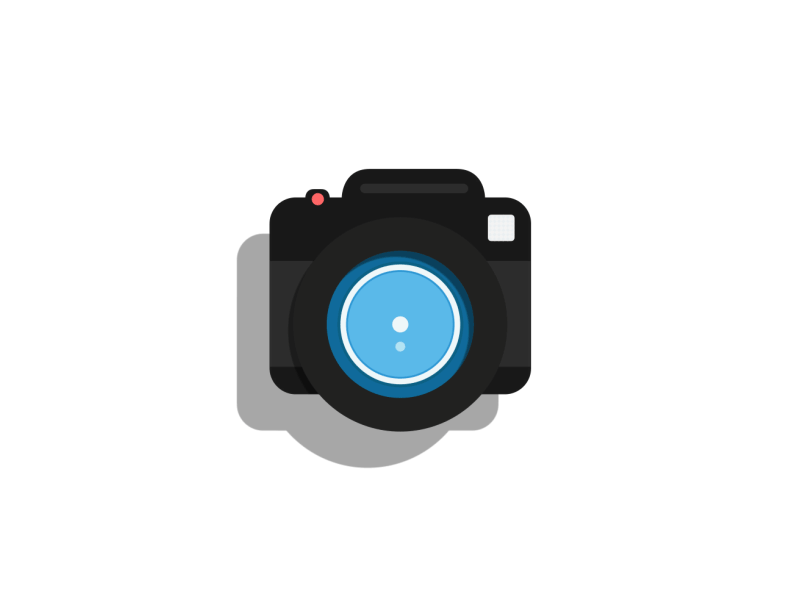 camera gif.gif