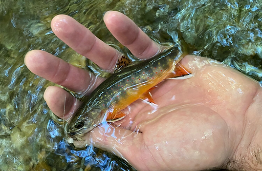 Screen Shot 2022-12-27 at 5.39.55 PM.png