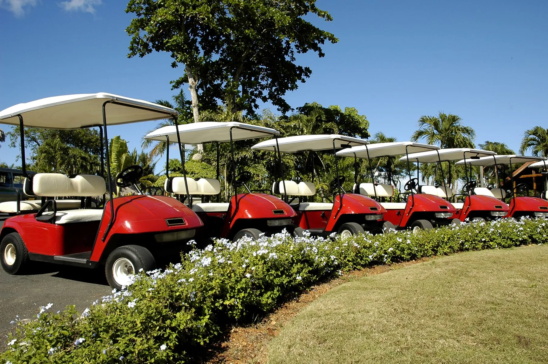 Golf Cart Rentals Pigeon Gatlinburg, Sevierville, Tennessee