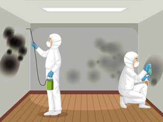 Why Regular Pest Control is Essential for Your Commercial Space
