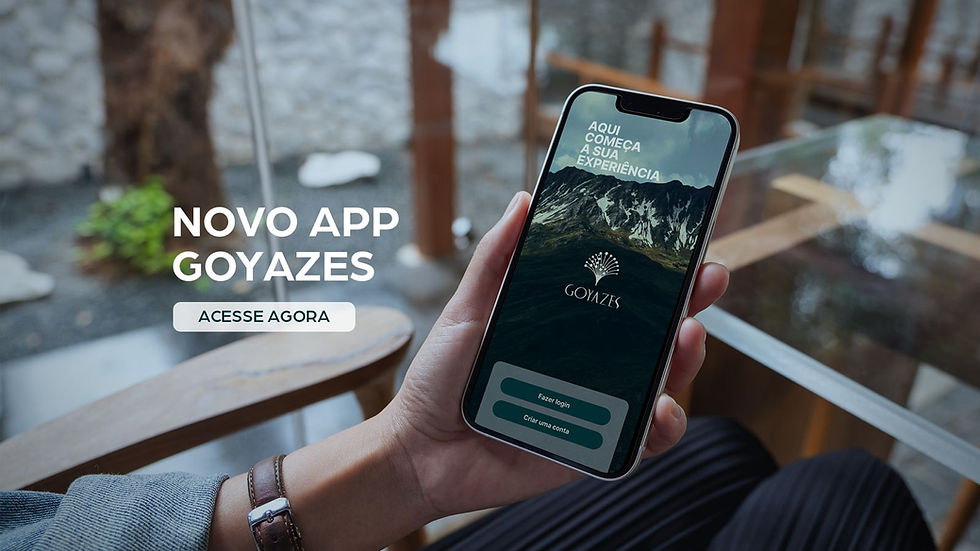 WhatsApp Image 2026-01-09 at 16.24.06