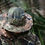 Thumbnail: Teesar® WASP I Z3A Trilam. Waterproof Boonie Hat