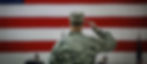 U.S. Veteran Resources