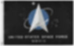 US Space Force Flag