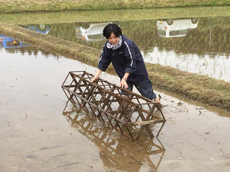3期田植え