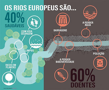 o estado dos rios.jpg