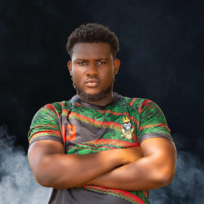 STEPHEN MAWULOLO