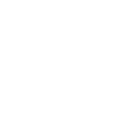 REEBOK B.png