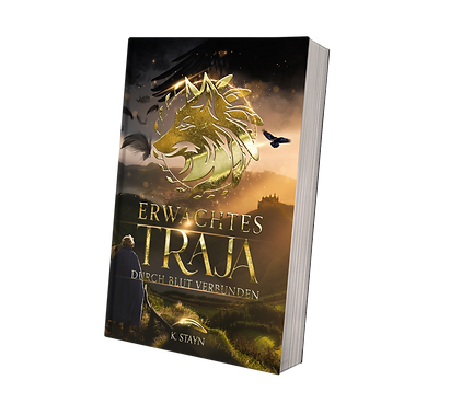 Softcover seitlich Mockup - Band 2 - Erwachtes Traja.png