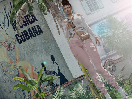 ~419~Salsa~ La Musica Cubana