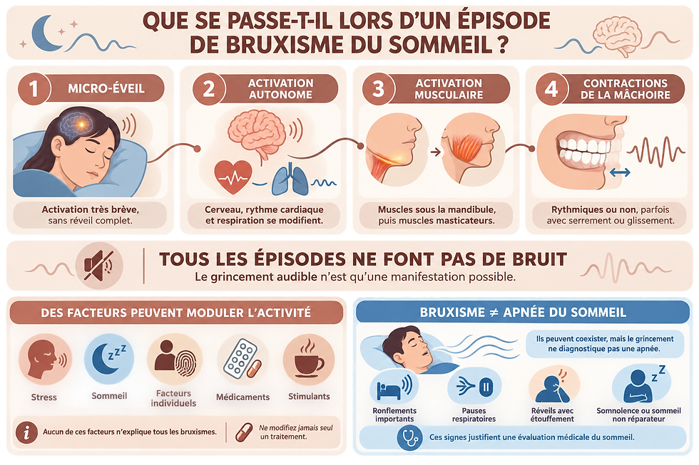 Infographie expliquant les micro-éveils, l’activation du système nerveux et les contractions de la mâchoire lors du bruxisme du sommeil, ainsi que ses liens possibles avec la respiration nocturne.