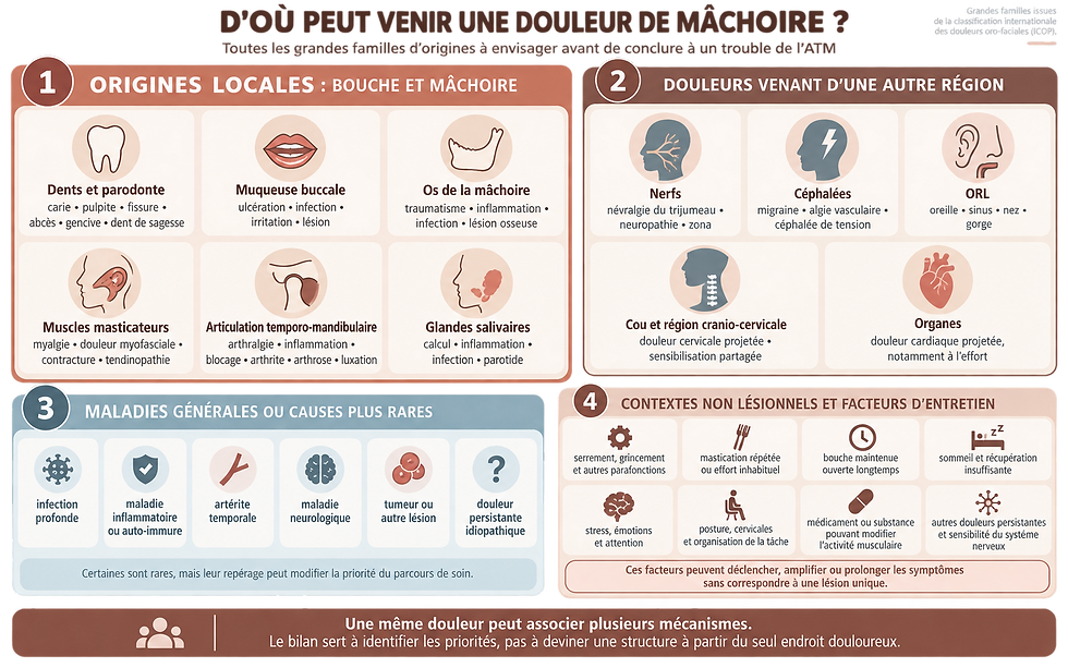 Infographie des origines possibles des douleurs de la mâchoire