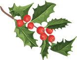 251211_Holly2.png