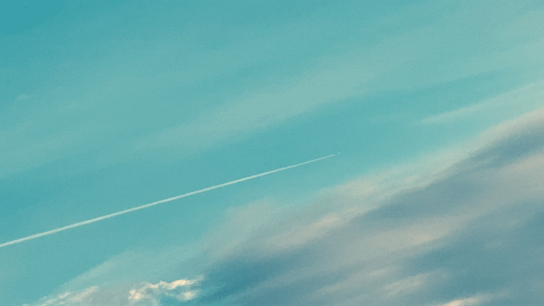 ezgif.com-gif-maker (3).gif