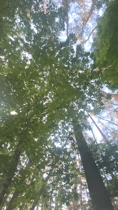 ezgif.com-gif-maker (9).gif