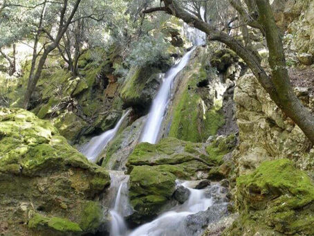 WHAT CAN YOU DO A WEEKEND WITH YOUR FAMILY IN MALLORCA: || PART