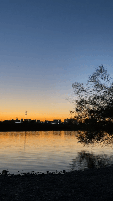 ezgif.com-gif-maker (10).gif