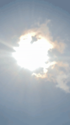 ezgif.com-gif-maker (4).gif