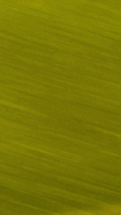 ezgif.com-gif-maker (12).gif