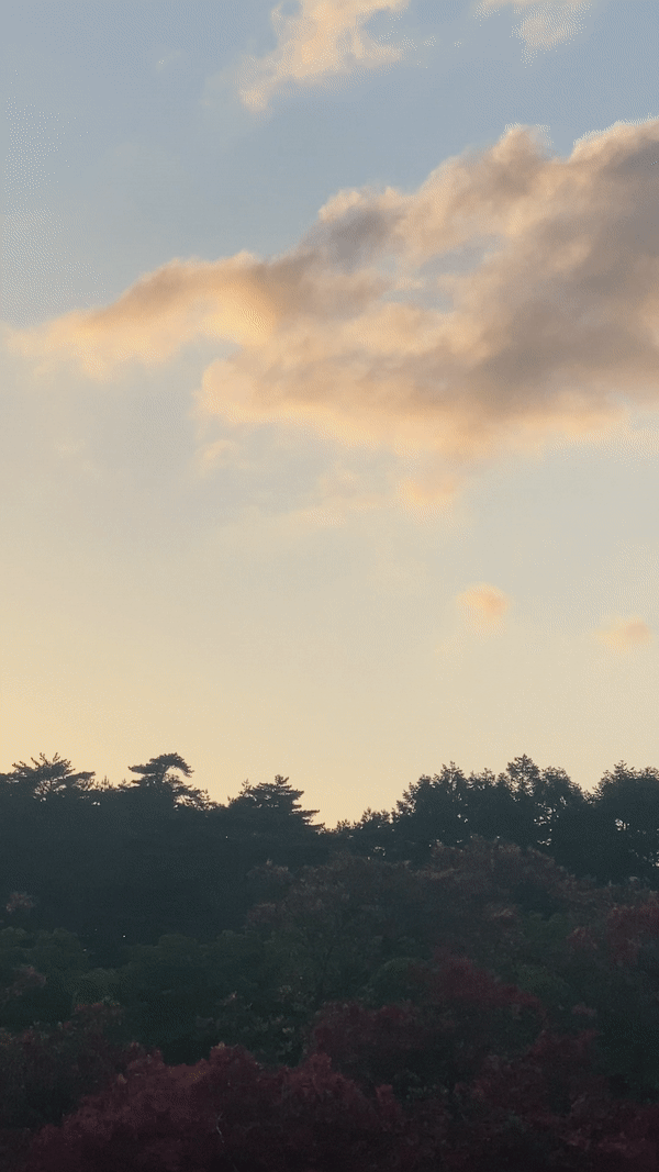 ezgif.com-gif-maker (1).gif