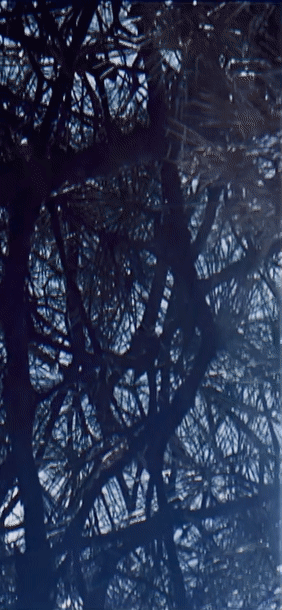 ezgif.com-gif-maker (11).gif