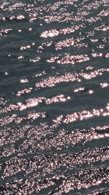 ezgif.com-gif-maker (10).gif