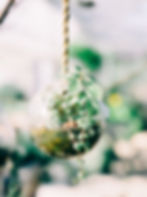 Terrarium Class