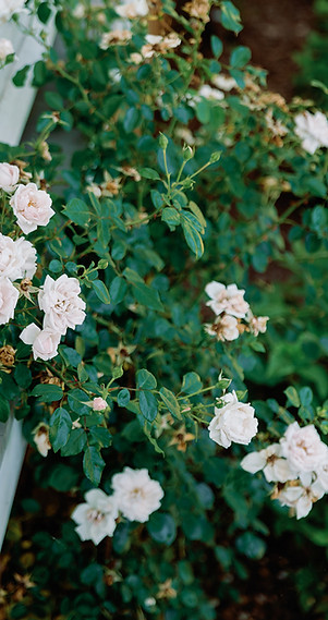 nicoleclareyphoto-emily+jack_rehearsal dinner-35.jpg