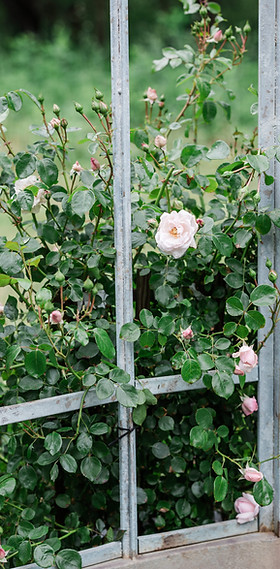 Boxwood_Villa_Virginia_Wedding_Venue_Orange__TheMarketatGrelen_ridgeandramble-13186.jpg