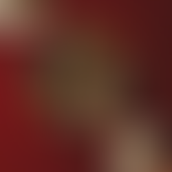 Lidická stopa v Michelinu - Leden 2025