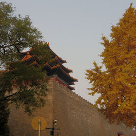 Lidická stopa v Michelinu - Únor 2025