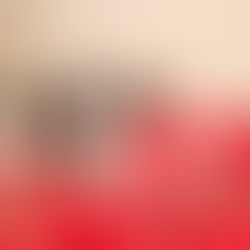 Tasty treats - choosing your pup's chews